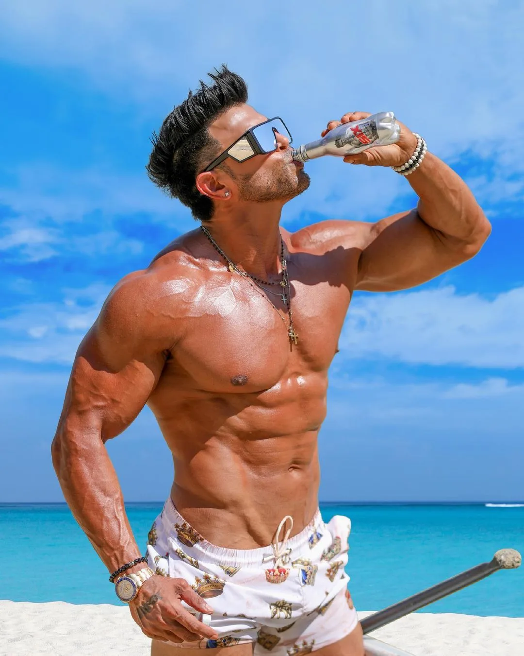 Sahil Khan Income Sources Sahil Khan Income Sources