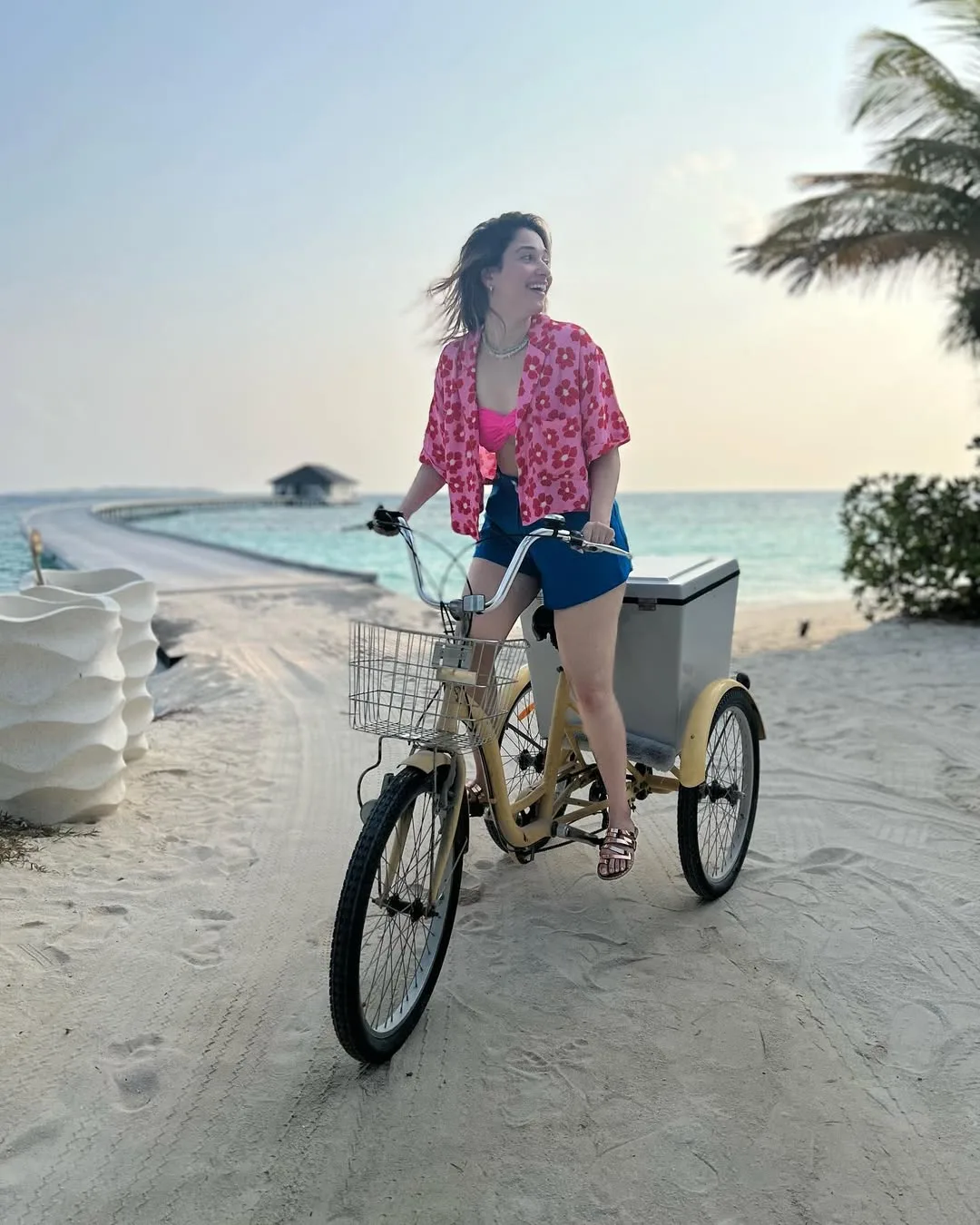 Tamannaah Bhatia's Lifestyle Tamannaah Bhatia Lifestyle