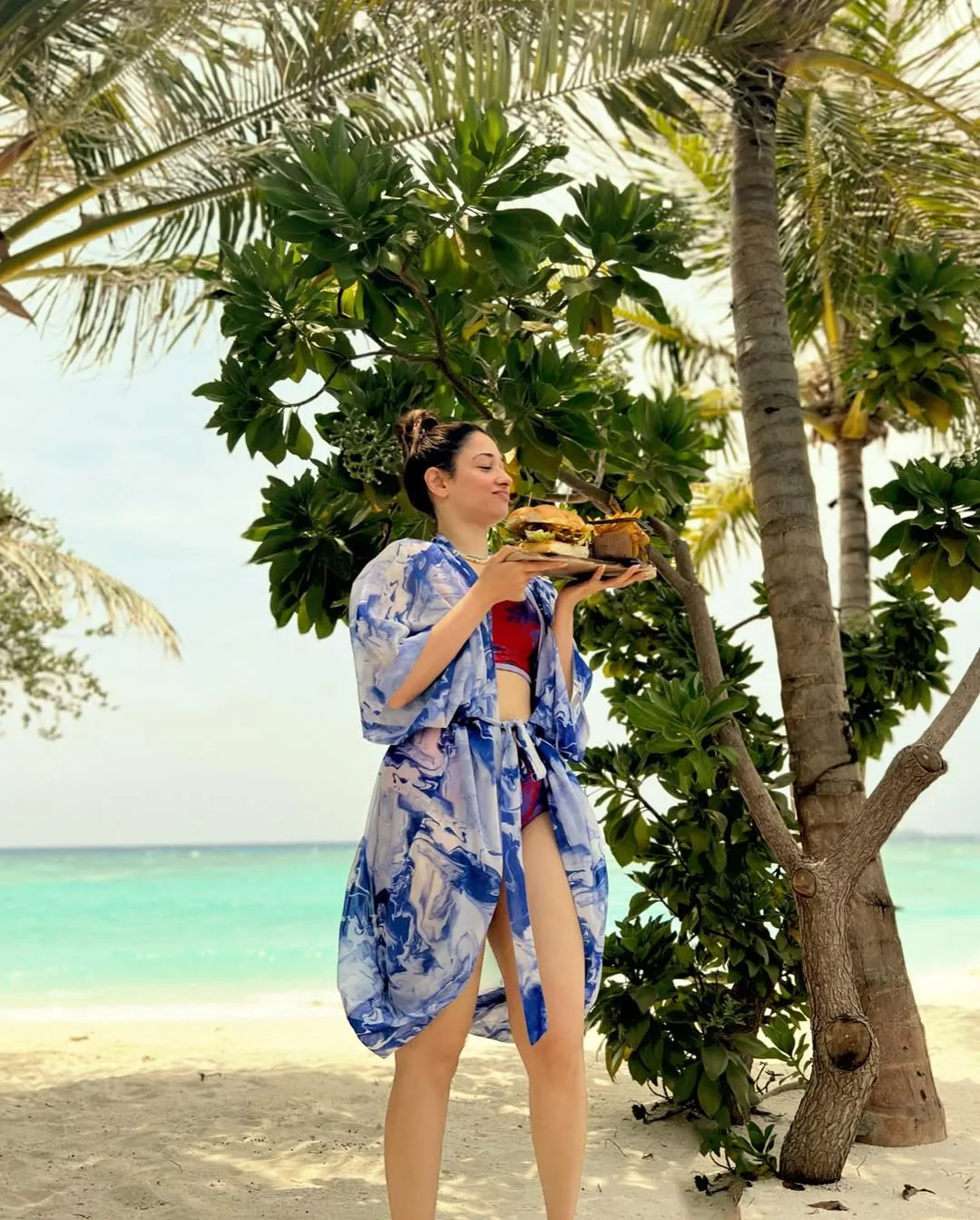 Tamannaah Bhatia's Lifestyle Tamannaah Bhatia Lifestyle